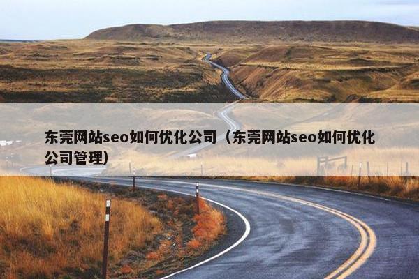 东莞网站seo如何优化公司（东莞网站seo如何优化公司管理）
