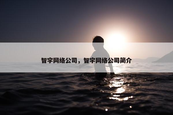 智宇网络公司，智宇网络公司简介