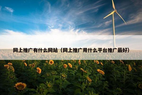 网上推广有什么网站（网上推广用什么平台推广最好）