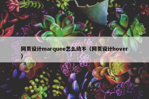 网页设计marquee怎么动不（网页设计hover）