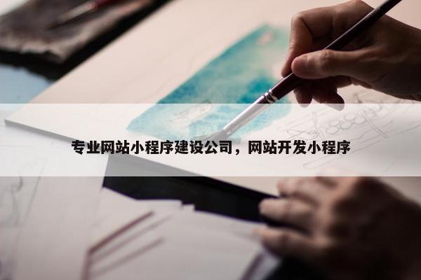 专业网站小程序建设公司，网站开发小程序