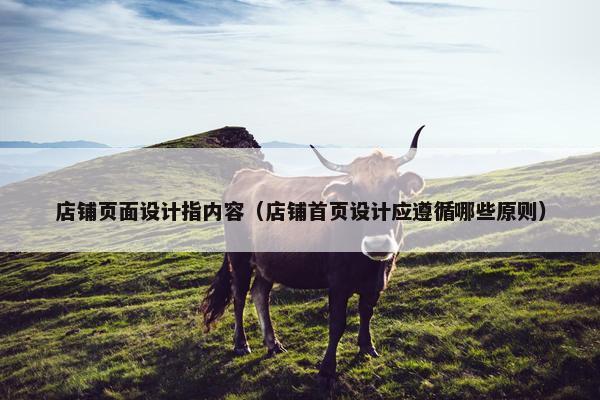店铺页面设计指内容（店铺首页设计应遵循哪些原则）
