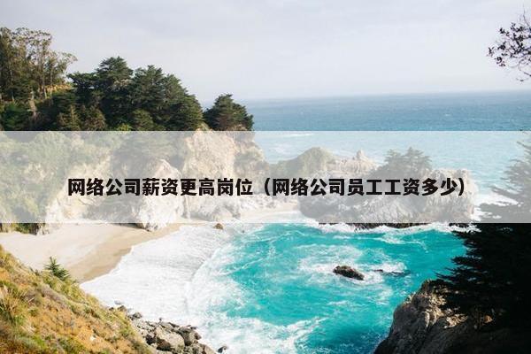 网络公司薪资更高岗位（网络公司员工工资多少）