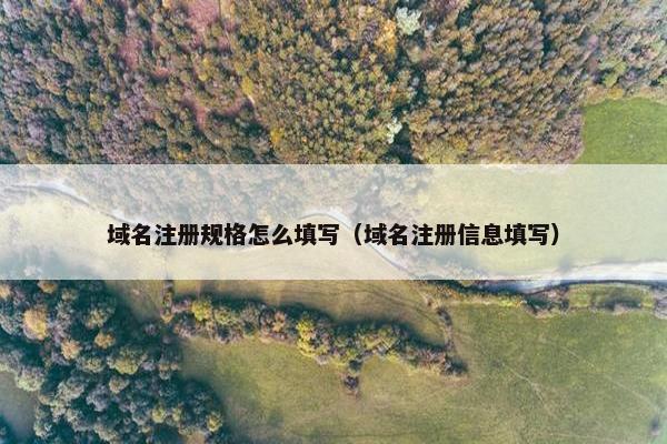 域名注册规格怎么填写（域名注册信息填写）