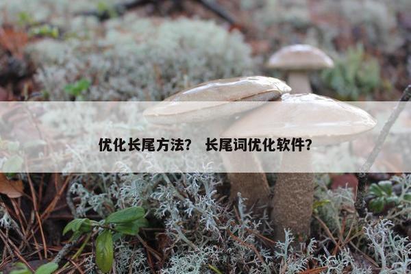 优化长尾方法？ 长尾词优化软件？