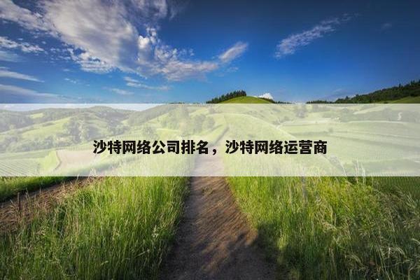 沙特网络公司排名，沙特网络运营商