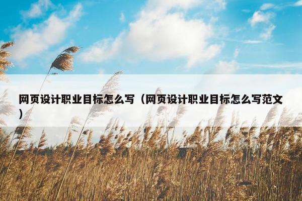 网页设计职业目标怎么写（网页设计职业目标怎么写范文）
