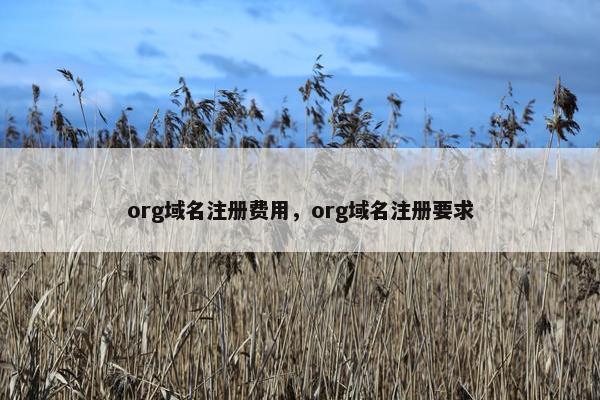 org域名注册费用，org域名注册要求