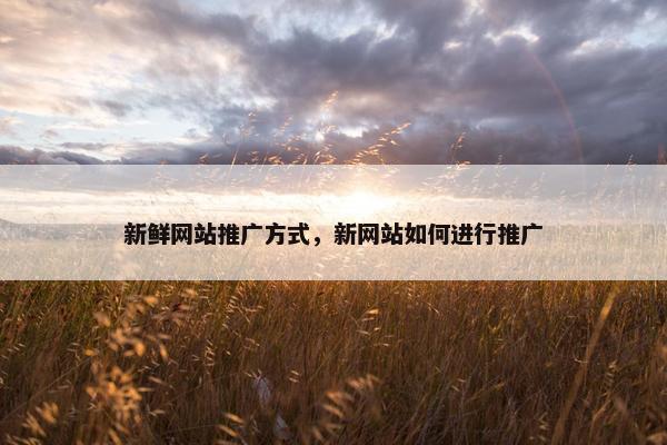 新鲜网站推广方式，新网站如何进行推广