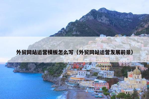 外贸网站运营模板怎么写（外贸网站运营发展前景）
