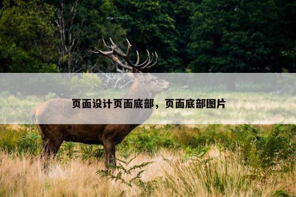 页面设计页面底部，页面底部图片
