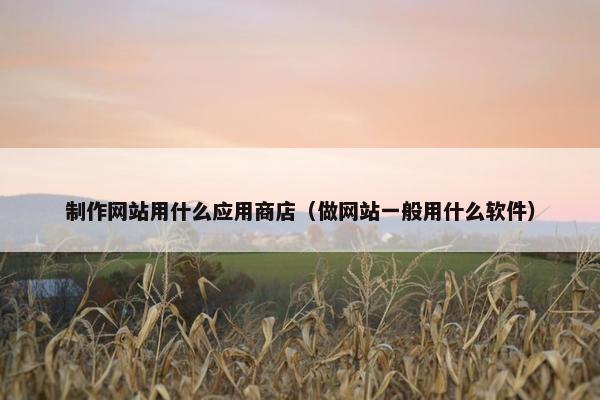 制作网站用什么应用商店（做网站一般用什么软件）