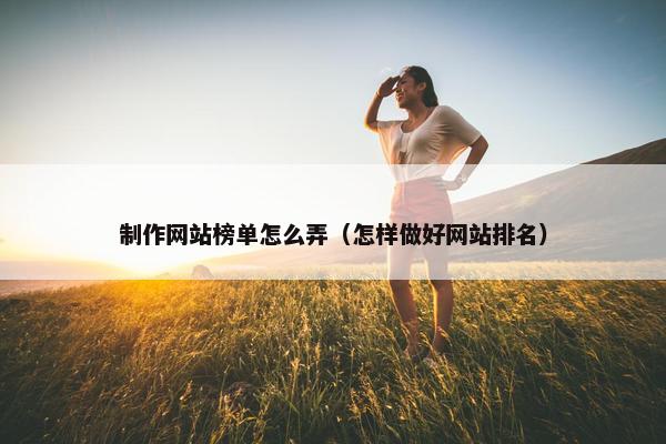 制作网站榜单怎么弄（怎样做好网站排名）