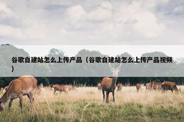 谷歌自建站怎么上传产品（谷歌自建站怎么上传产品视频）