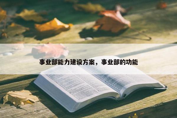 事业部能力建设方案，事业部的功能