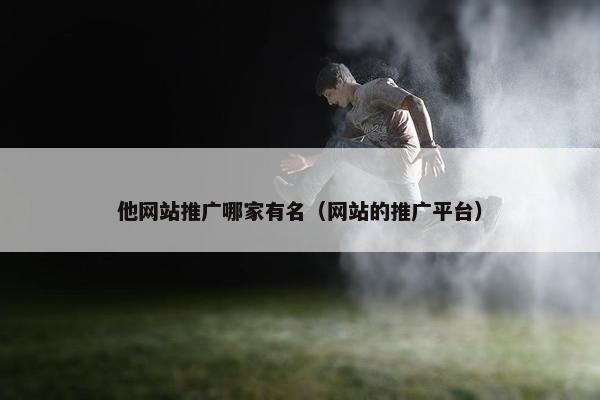 他网站推广哪家有名（网站的推广平台）