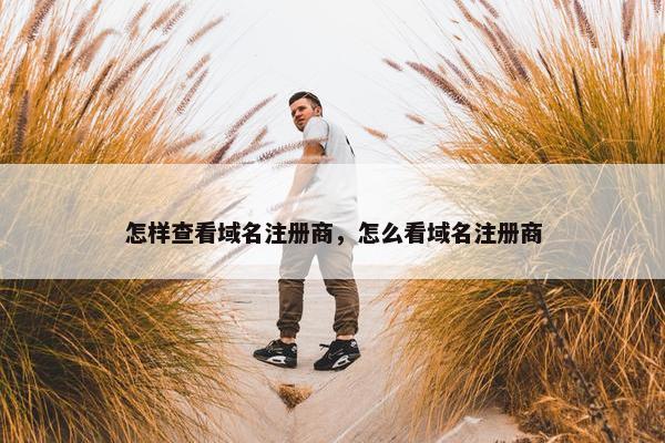 怎样查看域名注册商，怎么看域名注册商