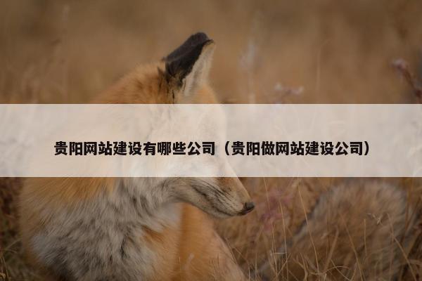 贵阳网站建设有哪些公司（贵阳做网站建设公司）