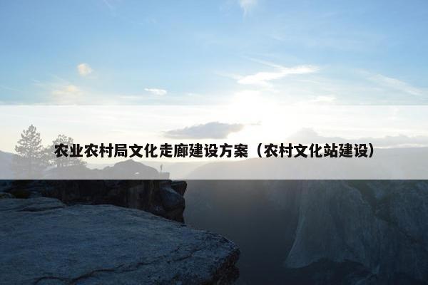 农业农村局文化走廊建设方案（农村文化站建设）