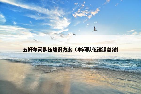 五好车间队伍建设方案（车间队伍建设总结）