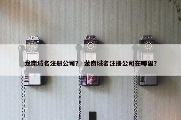 龙岗域名注册公司？ 龙岗域名注册公司在哪里？