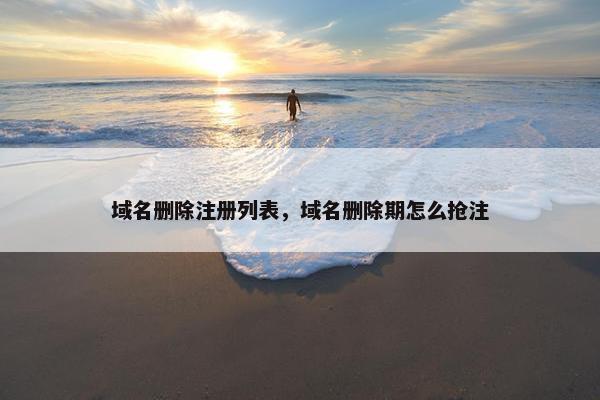 域名删除注册列表，域名删除期怎么抢注