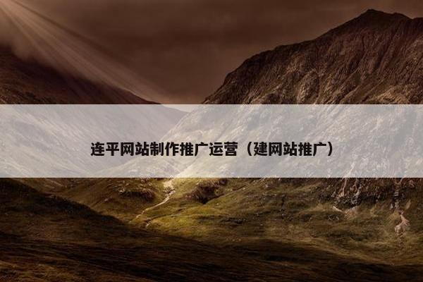 连平网站制作推广运营（建网站推广）
