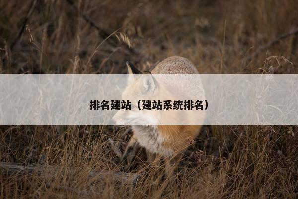 排名建站（建站系统排名）