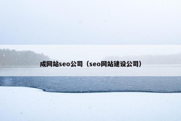 成网站seo公司（seo网站建设公司）