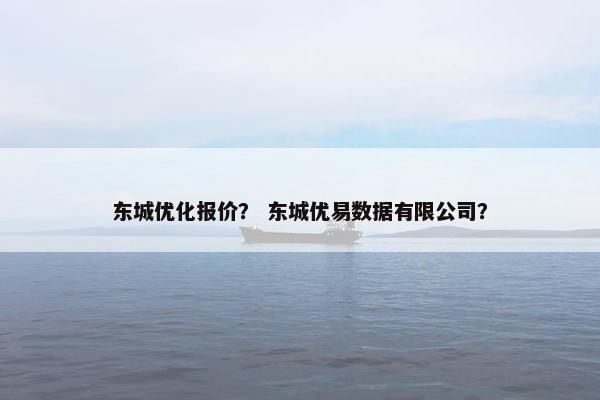 东城优化报价？ 东城优易数据有限公司？