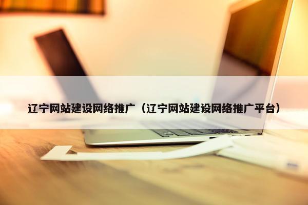 辽宁网站建设网络推广（辽宁网站建设网络推广平台）