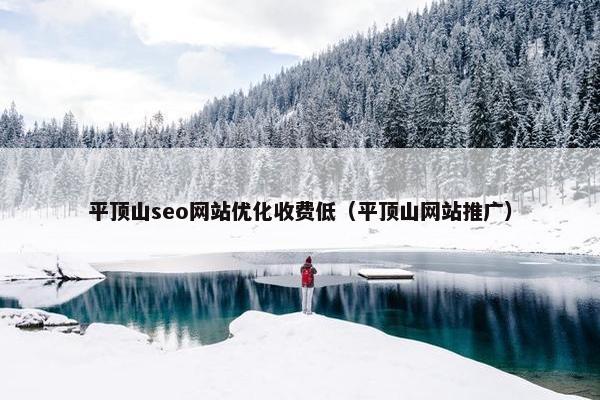 平顶山seo网站优化收费低（平顶山网站推广）