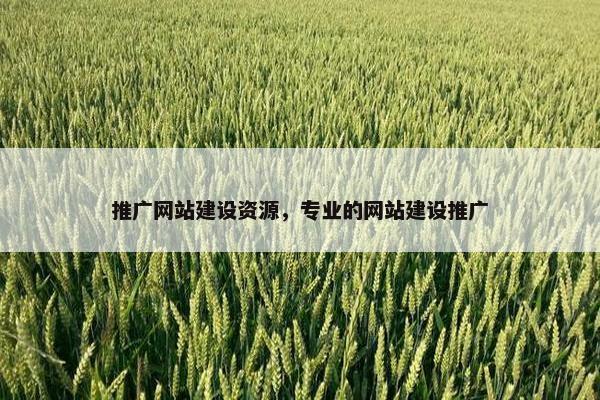 推广网站建设资源，专业的网站建设推广