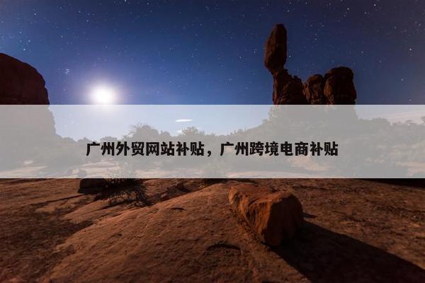 广州外贸网站补贴，广州跨境电商补贴