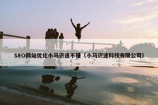 SEO网站优化小马识途不错（小马识途科技有限公司）