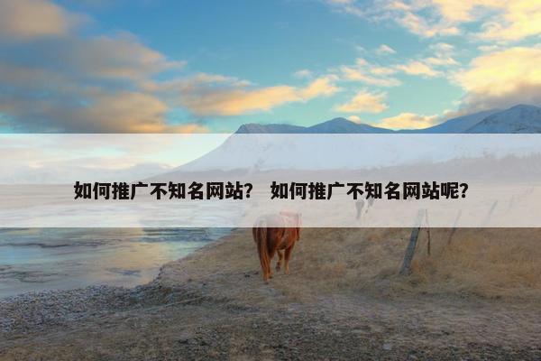 如何推广不知名网站？ 如何推广不知名网站呢？