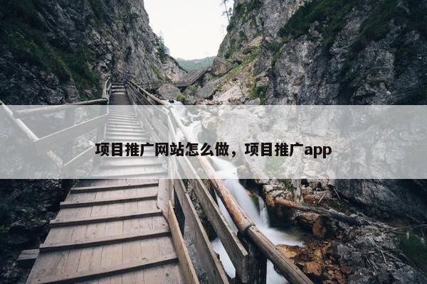项目推广网站怎么做，项目推广app