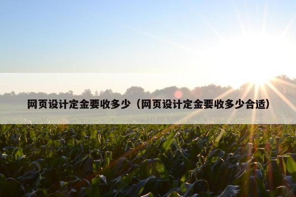 网页设计定金要收多少（网页设计定金要收多少合适）