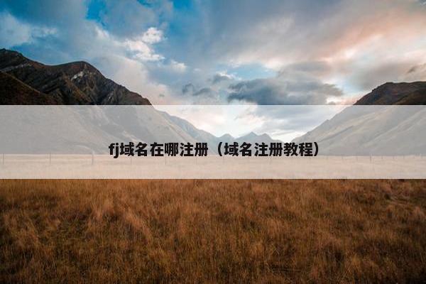 fj域名在哪注册（域名注册教程）