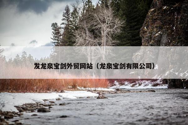 发龙泉宝剑外贸网站（龙泉宝剑有限公司）
