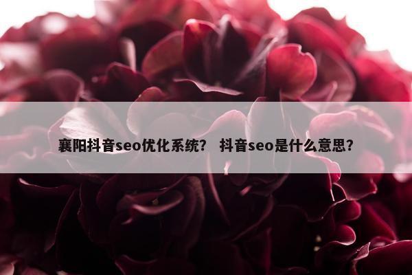 襄阳抖音seo优化系统？ 抖音seo是什么意思？