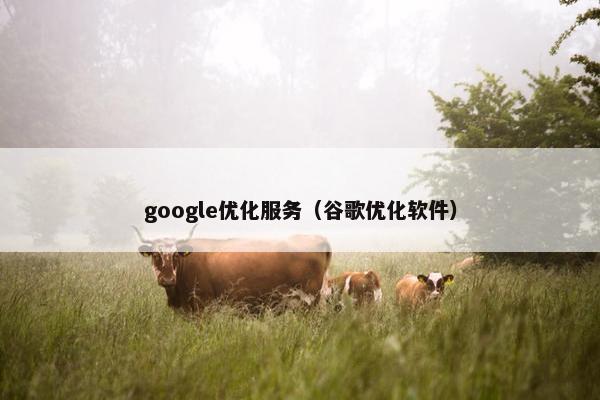 google优化服务（谷歌优化软件）