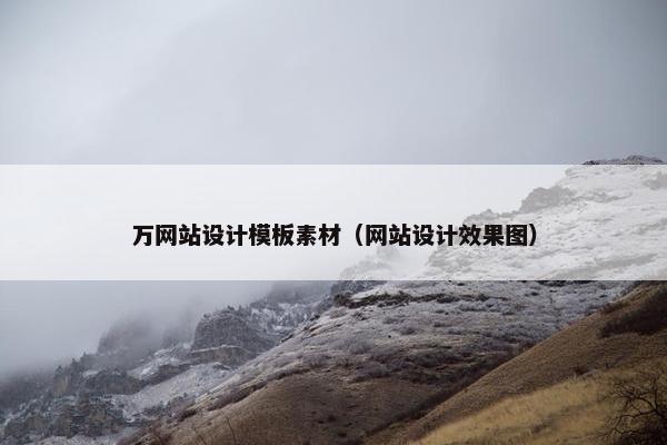 万网站设计模板素材（网站设计效果图）
