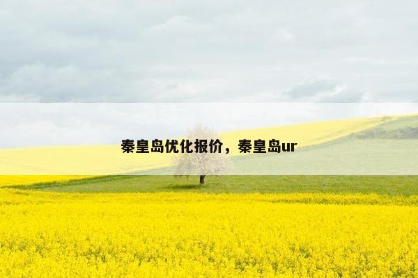 秦皇岛优化报价，秦皇岛ur