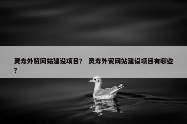 灵寿外贸网站建设项目？ 灵寿外贸网站建设项目有哪些？