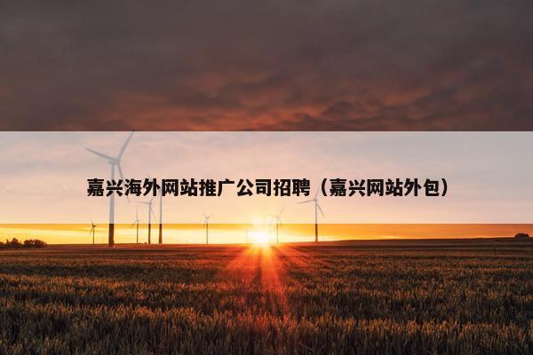 嘉兴海外网站推广公司招聘（嘉兴网站外包）