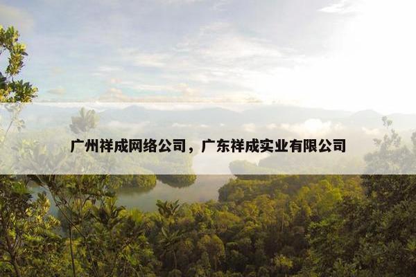 广州祥成网络公司，广东祥成实业有限公司