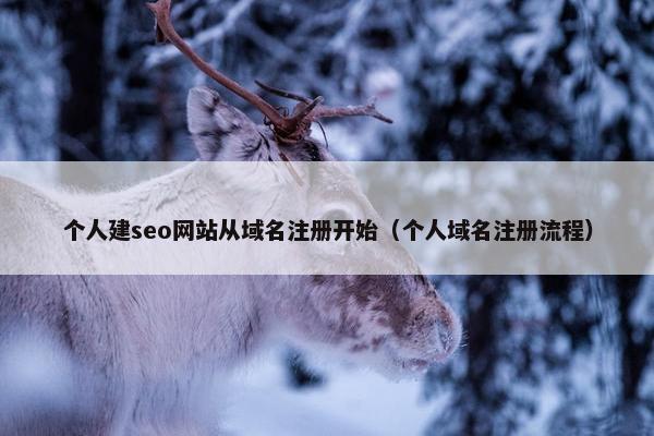 个人建seo网站从域名注册开始（个人域名注册流程）