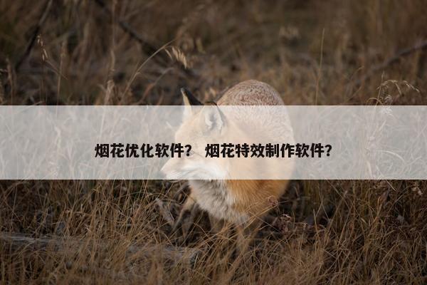 烟花优化软件？ 烟花特效制作软件？
