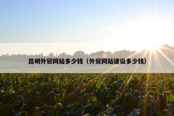 昆明外贸网站多少钱（外贸网站建设多少钱）
